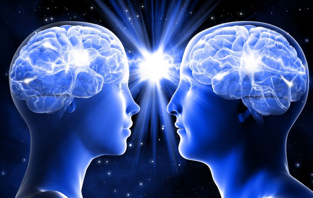 brain science of divorce