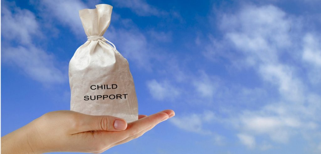 Child Support facts